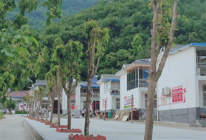 图片4.png 图片4.png