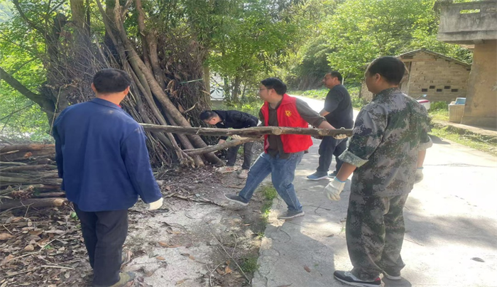 图片4.png 图片4.png